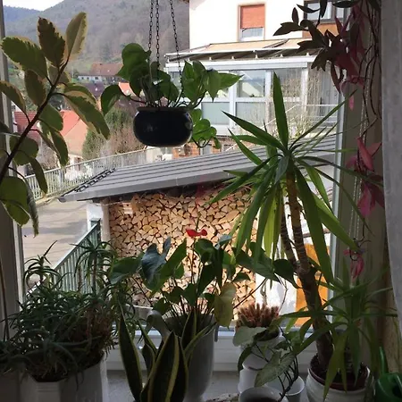 Ferienresidenz M.j.s. Blanctanneur Ferienhaus Ramberg