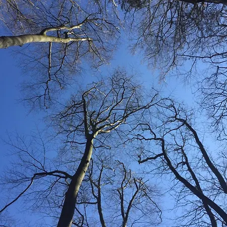 Ferienresidenz M.j.s. Blanctanneur