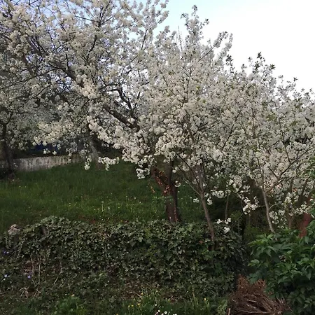 Ferienresidenz M.j.s. Blanctanneur * Ramberg