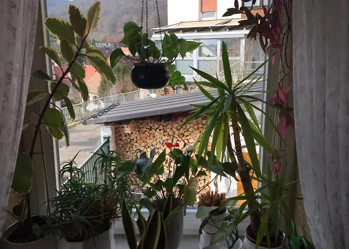 Ferienresidenz M.j.s. Blanctanneur 펜션 Ramberg