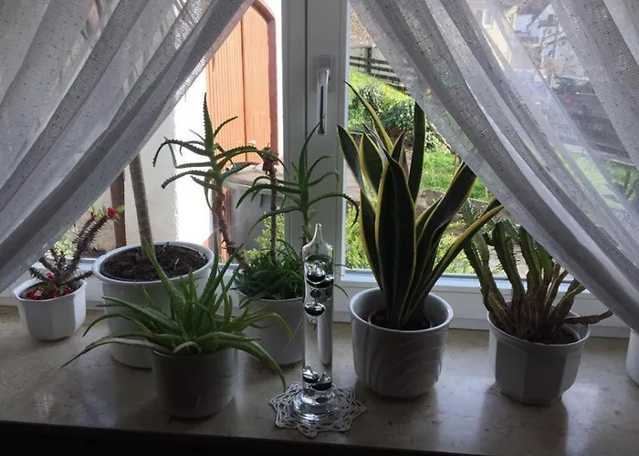 Ferienresidenz M.j.s. Blanctanneur *