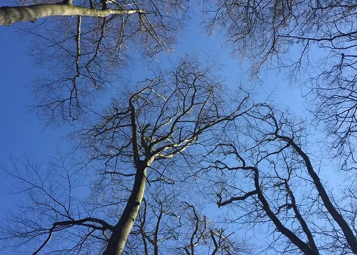 Ferienresidenz M.j.s. Blanctanneur