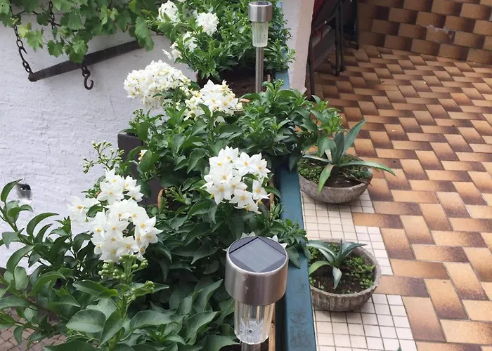 펜션 Ferienresidenz M.j.s. Blanctanneur *