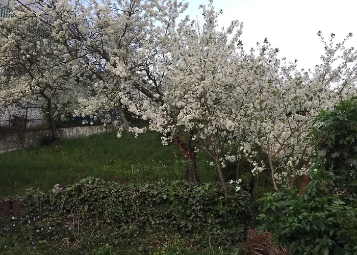 Ferienresidenz M.j.s. Blanctanneur * Ramberg