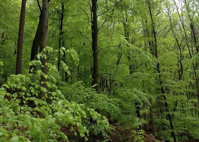 Ferienresidenz M.j.s. Blanctanneur Dom wakacyjny *