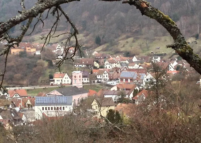 Dom wakacyjny Ferienresidenz M.j.s. Blanctanneur *