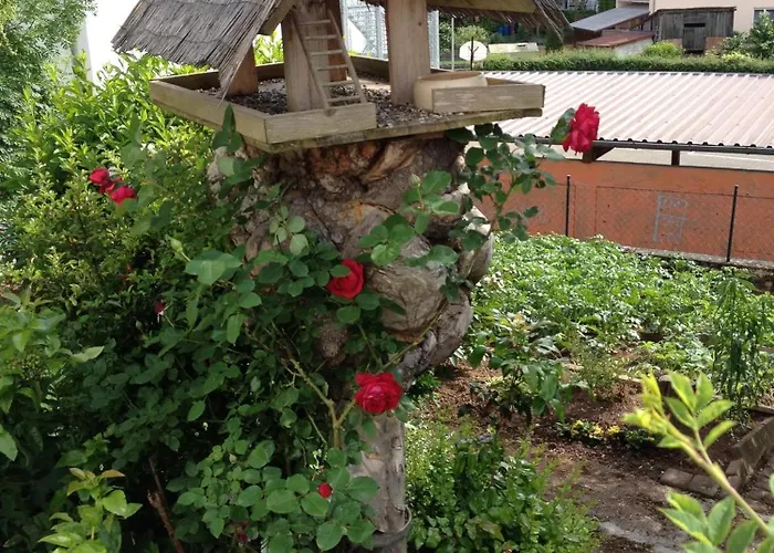 Ferienresidenz M.j.s. Blanctanneur * Ramberg